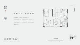 新田城4室2厅1厨5卫建面231.95㎡