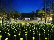 产权清晰、楼层好。视野开阔。位置好,精装修