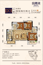 龙湾湖国际社区2室1厅1厨2卫建面100.00㎡