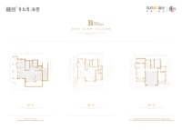 b 353.04平四室两厅一厨四卫