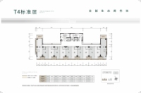 T4标准层户型图