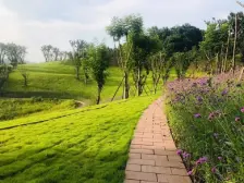 悦来 望江府花漫里四房180万