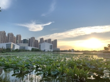 业主诚意出售,视野开阔,为别墅,带前后花园。