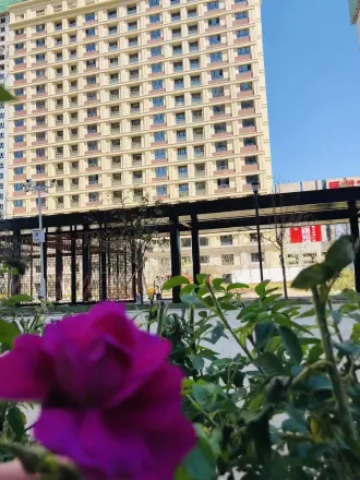 广东大厦禧粤居