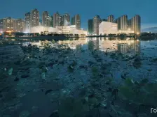 三水新城芯 空气较清新 公园绿地多 环境真优美