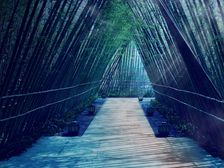 福星惠誉青城府 2室1厅 东南