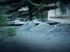 福星惠誉江山语 3室2厅 南