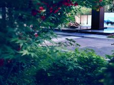 福星惠誉青城府 2室1厅 北 南