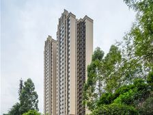 天悦龙栖台 3室2厅 东南