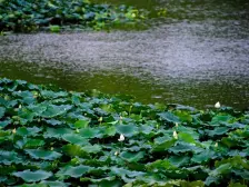 龙兴 金科御临河星空四房90万