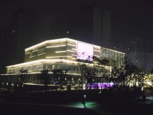 鲁能领秀城4街区南区 4室2厅 东南
