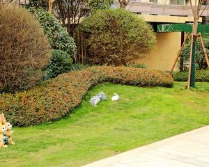 证过二观澜府电梯小高带个储藏室观景房市政供暖