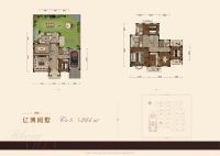 类独中间户C户型（南入户）