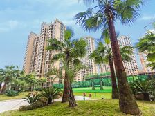 安源区御龙湾,四房两厅两卫,毛坯房