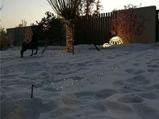 富力院士廷2期 一楼有院 3居现房 看房方便 价可议