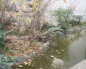 亲河名居A区3室1厅南