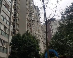 北延风景2室1厅东