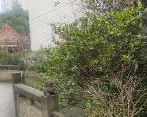亲河名居A区3室2厅西南