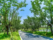 照母山 和记黄埔玥湖园二期三房140万