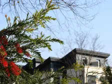 店长推荐;大联排600平使用面积,四套房设计,低密度