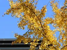 从圈层到配套 每一处细节都为您的生活品质加分!!