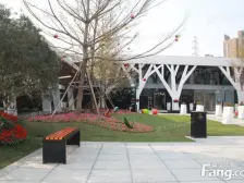 碧桂园 精装2房 复式 诚心出售 价格可议 看房方便