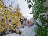 销售中心雪景