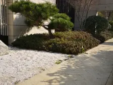 三房保养好,临河位置,满五无个税,采光好,有钥匙