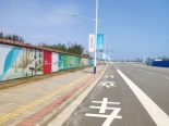 项目区域道路