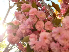 带露台,毛坯房,可随意装修改动