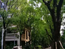 汽博精装次新洋房 楼层好 朝中庭 诚心出售