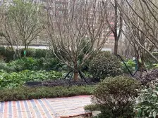 绿城品质 户型通透 住家精装 独立入户的品质四房