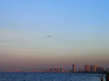 招商马尔贝拉 叠拼别墅 带院 带地下室