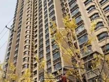 恒大绿洲二号院 三室两卫 南北通透 中间楼层 采光好