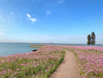 淀山湖院子周边景色