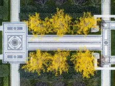 115平三房,带车位!有钥匙!好楼层,视野好采光好!