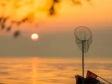 次新小区 中上楼层 全天无遮挡 电梯洋房