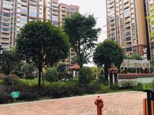 雅砻阳光花园 3室1厅 东南 东