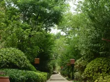 红溪谷上叠有北向院子有地下室有车位看房方便