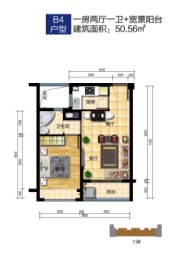 阳光城1室2厅1厨1卫建面50.56㎡