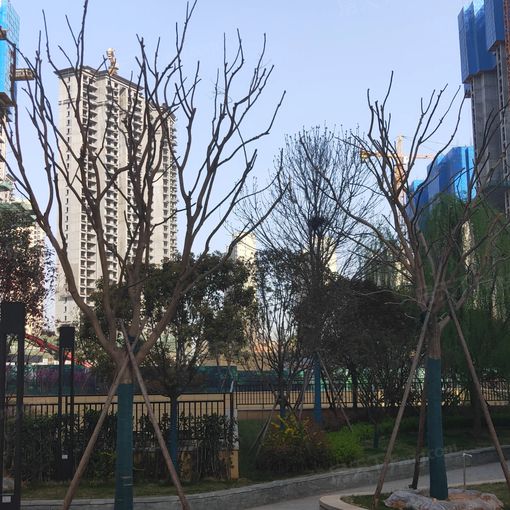 Ïãé¿ÀÀ¼Ïª3ÊÒ2Ìü2ÎÀÄϱ±³¯Ïò1200.00Ôª/Ô³ö×â