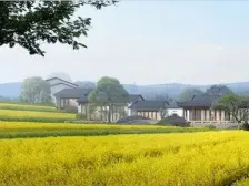 蓝城两江田园牧歌 1室1厅 东