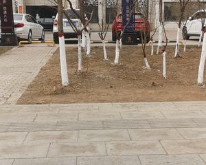 银都福邸 2室1厅 南