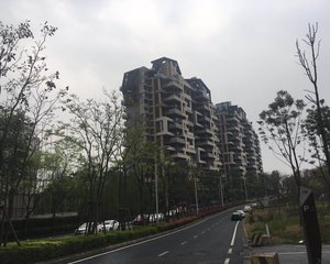 麓湖生态城琥珀瀛洲 3室1厅 南 北