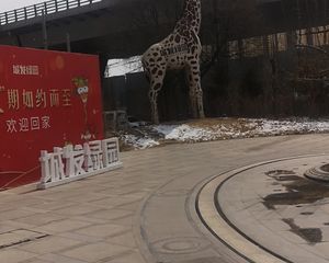 花园式小区,配套齐全,1楼有小院