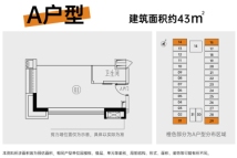 保利中悦A11A户型43㎡