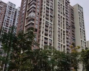 黄龙小高层电梯房,新小区环境好,楼层好,阳光好