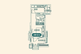 恒大悦珑湾1室1厅1厨1卫建面48.09㎡