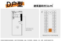 D户型36㎡