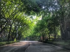 山渐青毛坯边套别墅大花园安静环境好